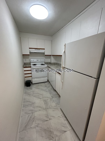 Cambridge Apartment for rent 1 Bedroom 1 Bath  Harvard Square - $2,695