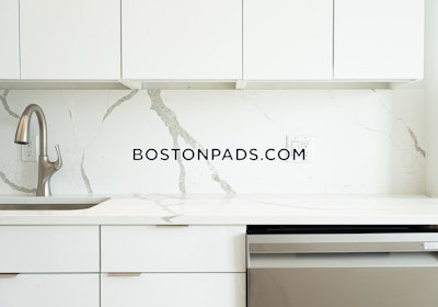 Brighton Apartment for rent Studio 1 Bath Boston - $3,300 No Fee