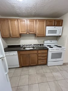 Allston Apartment for rent 2 Bedrooms 1 Bath Boston - $3,000 No Fee