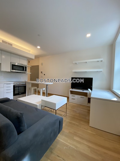 Cambridge Studio 1 Bath  Harvard Square - $3,775