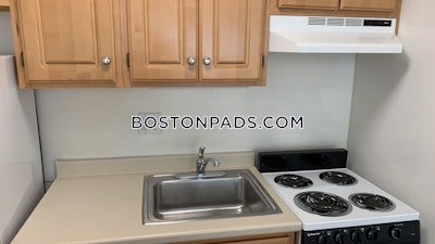 Cambridge Apartment for rent Studio 1 Bath  Mt. Auburn/brattle/ Fresh Pond - $2,300