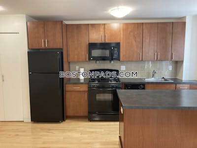 Brighton 1 Bed 1 Bath Boston - $2,629