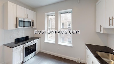 Brighton Apartment for rent 1 Bedroom 1 Bath Boston - $2,725 No Fee