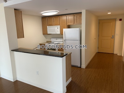 Dorchester Apartment for rent 2 Bedrooms 2 Baths Boston - $3,631 No Fee