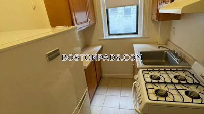 Allston Apartment for rent 1 Bedroom 1 Bath Boston - $2,550