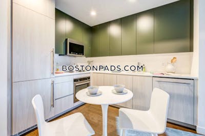 Fenway/kenmore Studio  baths Luxury in BOSTON Boston - $3,919