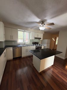 Cambridge Apartment for rent 1 Bedroom 1 Bath Mt. Auburn/brattle/ Fresh Pond - $2,700