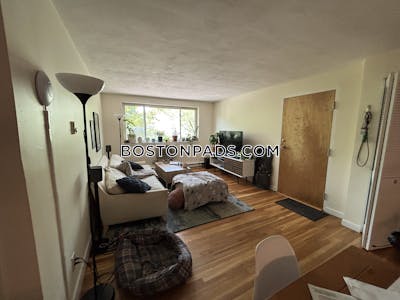 Brighton Apartment for rent 2 Bedrooms 1 Bath Boston - $3,000 No Fee