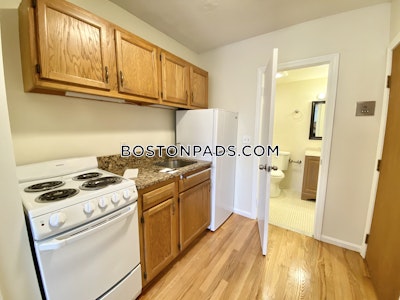 Mission Hill Apartment for rent Studio 1 Bath Boston - $1,900 No Fee