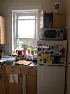 Allston Apartment for rent 1 Bedroom 1 Bath Boston - $3,100 No Fee