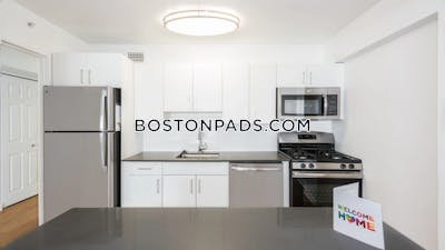 West End Apartment for rent Studio 1 Bath Boston - $2,900