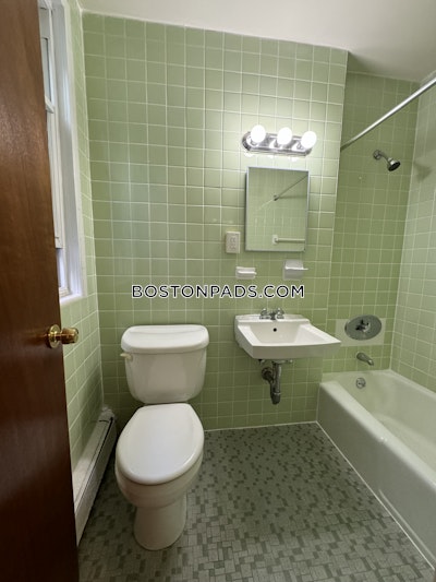 Mission Hill Apartment for rent 1 Bedroom 1 Bath Boston - $2,300