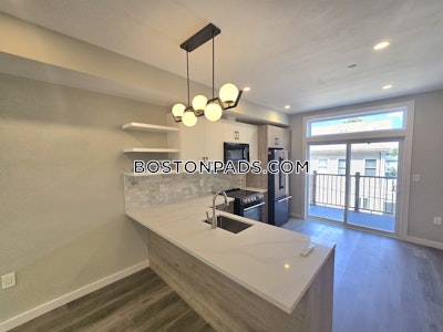 Roxbury 3 bedroom 2.5 baths in BOSTON Boston - $5,500 No Fee