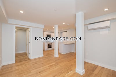 Brighton Apartment for rent 1 Bedroom 1 Bath Boston - $3,000 No Fee
