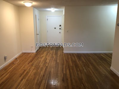 Allston/brighton Border Apartment for rent 1 Bedroom 1 Bath Boston - $2,350 No Fee