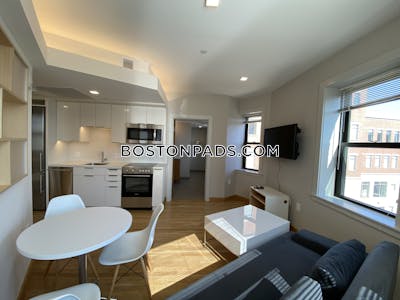 Cambridge Beautiful Studio 1 Bath  Harvard Square - $3,850 No Fee