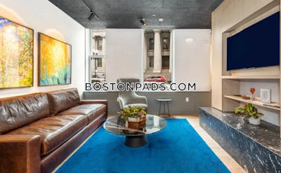 Downtown Apartment for rent 1 Bedroom 1 Bath Boston - $3,820