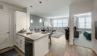 Braintree Apartment for rent 1 Bedroom 1 Bath - $2,750