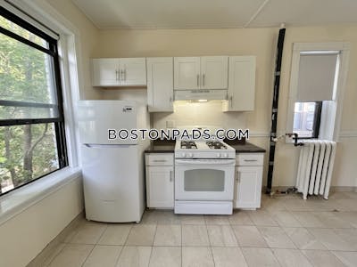 Allston Apartment for rent 1 Bedroom 1 Bath Boston - $2,700 No Fee