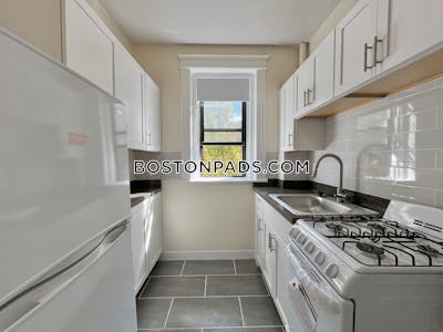Allston Apartment for rent Studio 1 Bath Boston - $2,050 No Fee