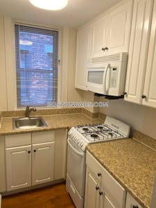 Northeastern/symphony Apartment for rent 1 Bedroom 1 Bath Boston - $3,638