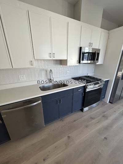 Allston Apartment for rent 2 Bedrooms 2 Baths Boston - $4,295 No Fee
