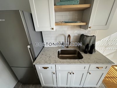 Brookline Apartment for rent 1 Bedroom 1 Bath  Coolidge Corner - $3,309