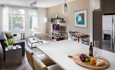 Waltham 2 bedroom 2 baths Luxury in WALTHAM - $3,724